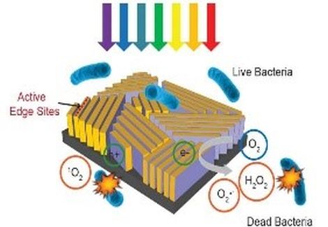 Thiết bị siêu nhỏ sử dụng năng lượng mặt trời giúp khử trùng nước nhanh chóng và hiệu quả